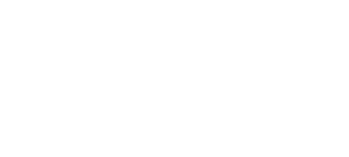 Metropolitan Marista